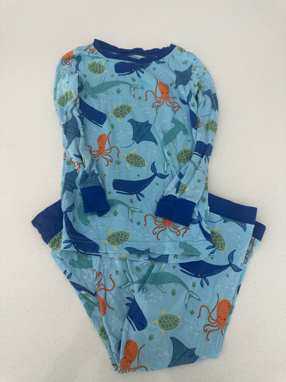 Little Sleepies Light Blue and Navy Toddler Pajama Set